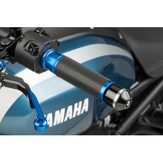 Ascent Grips Blue