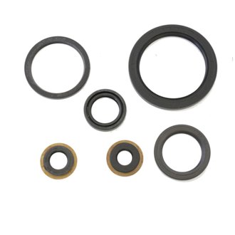 05-08 Yamaha YFM 250 Big Bear Engine Oil Seal Kit