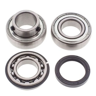 Snowmobile Chain Case Bearing & Seal Kit