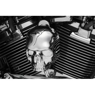 Skull Horn Cover 17-Up With Waterfall Style Horn Chrome