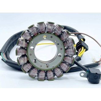 Ricks Motorsport Polaris Stator
