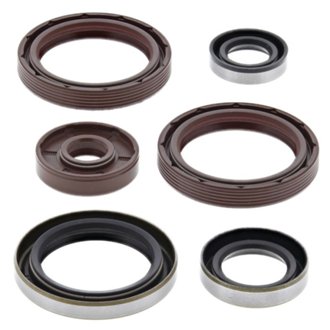 Engine Oil Seal Kit