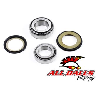 Steering Bearing Kit