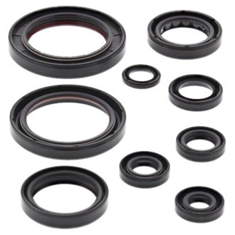 Engine Oil Seal Kit