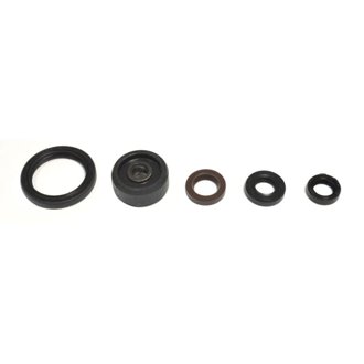08-17 Yamaha WR R 250 Engine Oil Seal Kit