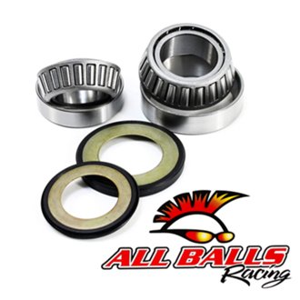 STEERING BEARING KIT (REPL 22-1016)