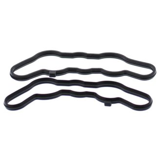 Exhaust Valve Gasket Kit