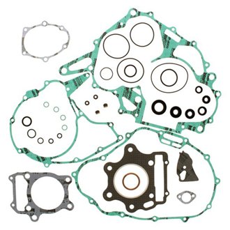 Complete Gasket Kit Withoil Seals