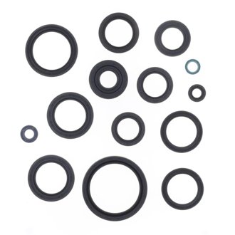 05-13 Kawasaki KVF 650 Brute Force 4X4 Engine Oil Seal Kit
