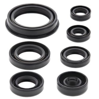 Engine Oil Seal Kit