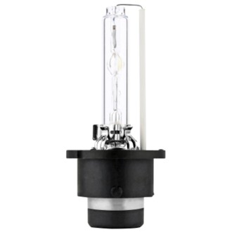 Multi-Purpose Light Bulb