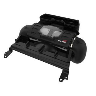 Momentum Gt Cold Air Intake System W/ Pro Dry S Filter