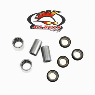 Swing Arm Bearing Kit