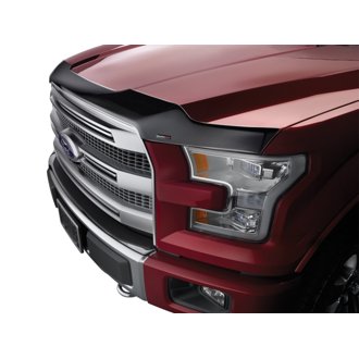 Low Profile Aerodynamic Hood Protector