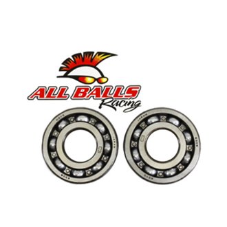Crankshaft Bearing Kit