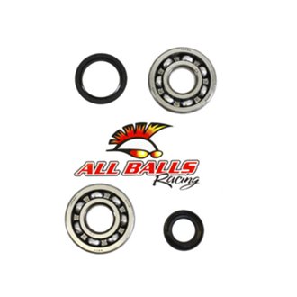 Allballs Crank Bearing And Seal Kit