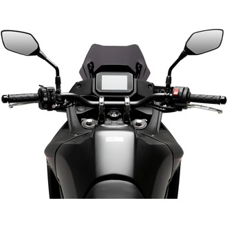Sport Screen Dark Smoke