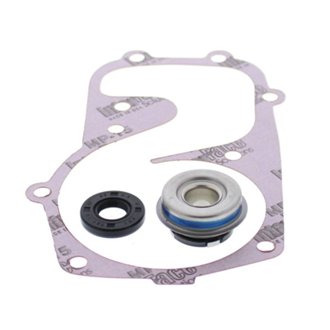 Waterpump Rebuild Kit Polaris