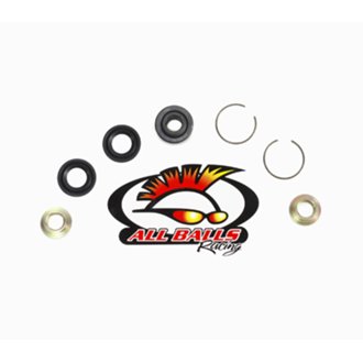 Lower Shock Bearing Kit