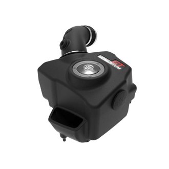 Momentum Gt Cold Air Intake System W/ Pro Dry S Filter