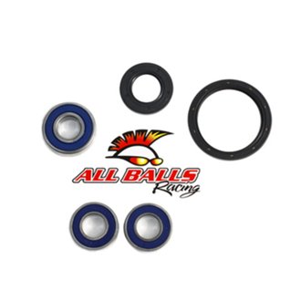 Wheel Bearing Kit - One Wheel