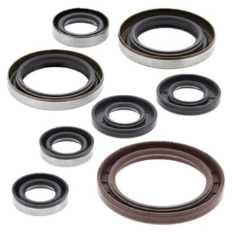Engine Oil Seal Kit