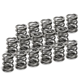 Honda H22A1/H22A4 Dual Valve Spring - Set of 16