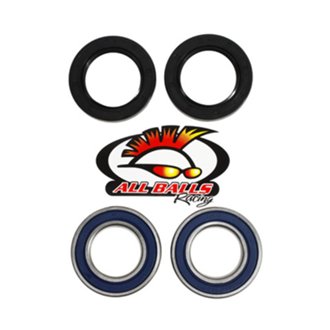 Wheel Bearing Kit Rear