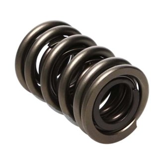 Valve Spring, SPRING-1.530 DOUBLE