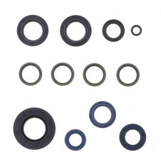 2005 Ducati Dark I.E 400 Engine Oil Seal Kit