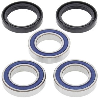 Wheel Bearing Kit Rear