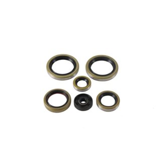 Engine Oil Seal Kit