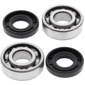 Racing 04-05 Cobra CM 50 Crank Shaft Bearing Kit