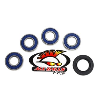 Wheel Bearing Kit Rear
