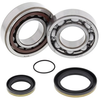 Racing 21-23 Gas-Gas EC250 Crank Shaft Bearing Kit