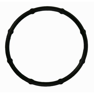Engine Coolant Outlet Gasket
