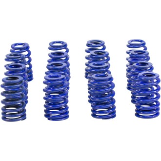 Beehive Hustler Springs for GM 604/CT525 LS Crate Engine