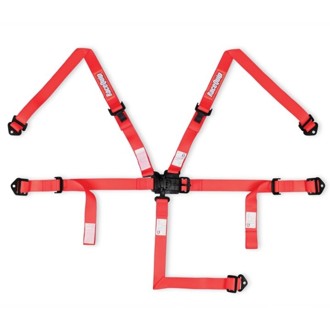 Youth Latch & Link 5 Point Racing Harness Set
