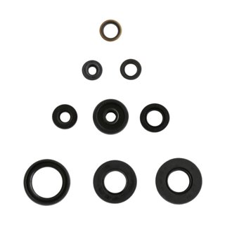 Yamaha DT LC / D 50 Engine Oil Seal Kit