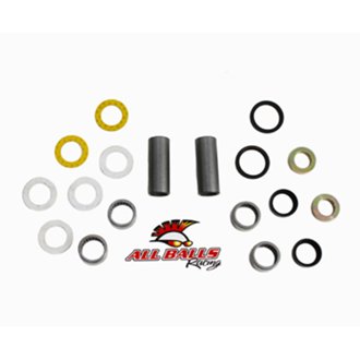 Swing Arm Bearing Kit