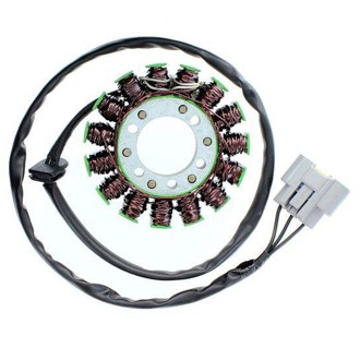 Electrosport Stator BMW