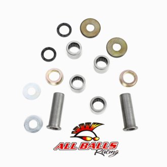 Swing Arm Bearing Kit