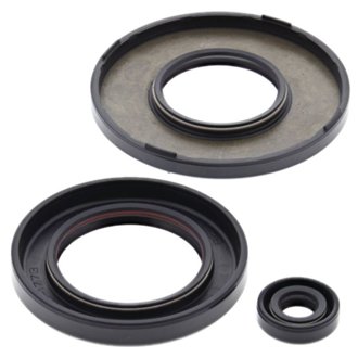 Engine Oil Seal Kit