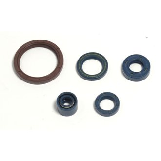 03-04 Husqvarna TE/TC 250-450 Engine Oil Seal Kit