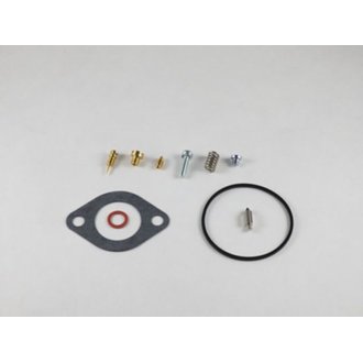 Carburetor Repair Kit