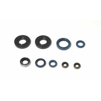 85-86 Cagiva GP 125 Engine Oil Seal Kit
