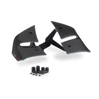 Spoilers D12 Carbon look