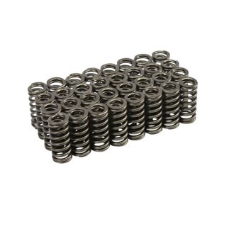 Valve Springs, Ford Powerstrok E 6.0/6.4, Set Of 32