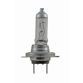 Multi-Purpose Light Bulb