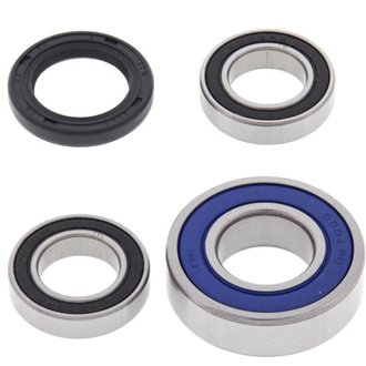 Wheel Bearing Kit Rear